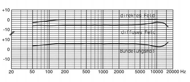 Abb. 4b: Niere